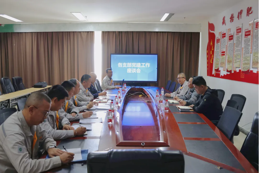 藏格矿业领导深入基层党支部调研指导党建工作